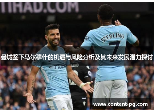 曼城签下马尔穆什的机遇与风险分析及其未来发展潜力探讨