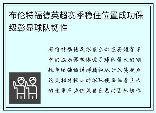 布伦特福德英超赛季稳住位置成功保级彰显球队韧性